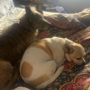 Meet your Posher, Mary